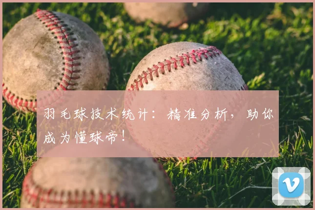 羽毛球技术统计：精准分析，助你成为懂球帝！